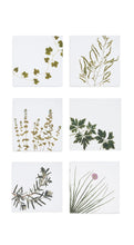 Load image into Gallery viewer, Gastronomic Herb Napkins | Set of 6