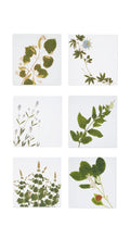 Load image into Gallery viewer, Tisane Herb Linen Napkins