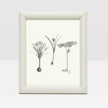 Load image into Gallery viewer, Eton Leather Frames