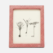 Load image into Gallery viewer, Uvita Woven Pandan Frames