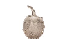 Load image into Gallery viewer, Naturalistic Gourd