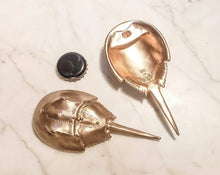 Load image into Gallery viewer, Horseshoe Crab Bottle Opener