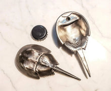 Load image into Gallery viewer, Horseshoe Crab Bottle Opener