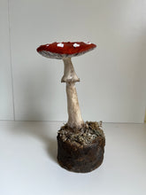 Load image into Gallery viewer, Paper Mâché Mushrooms