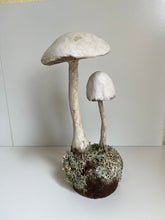 Load image into Gallery viewer, Paper Mâché Mushrooms