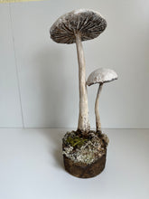 Load image into Gallery viewer, Paper Mâché Mushrooms