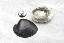 Load image into Gallery viewer, Quahog Shell Bottle Opener
