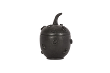 Load image into Gallery viewer, Naturalistic Gourd