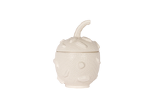 Load image into Gallery viewer, Naturalistic Gourd