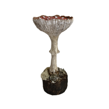 Load image into Gallery viewer, Handcrafted Paper Mâché Mushrooms