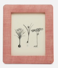 Load image into Gallery viewer, Halle Silken Abaca Frames