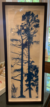 Load image into Gallery viewer, Prout's Neck Pine – Judith Allen Efstathiou