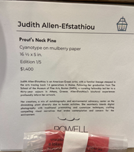 Load image into Gallery viewer, Prout's Neck Pine – Judith Allen Efstathiou
