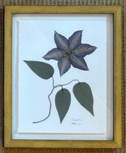 Load image into Gallery viewer, Clematis - Framed