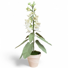 Load image into Gallery viewer, Foxglove in Pot - Paper Flower