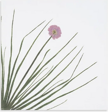 Load image into Gallery viewer, Gastronomic Herb Napkins | Set of 6