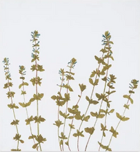 Load image into Gallery viewer, Gastronomic Herb Napkins | Set of 6