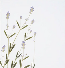 Load image into Gallery viewer, Tisane Herb Linen Napkins