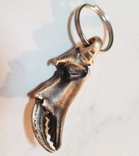 Load image into Gallery viewer, Crab Claw Key Chain Bottle Opener