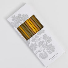 Load image into Gallery viewer, Fine Candles | Set of 10
