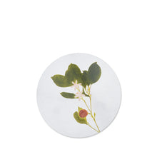 Load image into Gallery viewer, Herbarium Round Cork Placemats