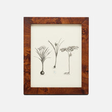 Load image into Gallery viewer, Nelson Picture Frame