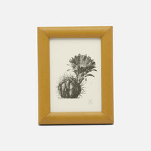 Load image into Gallery viewer, Eton Leather Frames