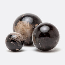 Load image into Gallery viewer, Bram | Petrified Wood Orbs