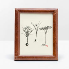 Load image into Gallery viewer, Eton Leather Frames