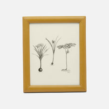 Load image into Gallery viewer, Eton Leather Frames