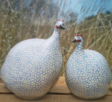 Load image into Gallery viewer, Guinea Fowl | White Spotted Lavender Blue